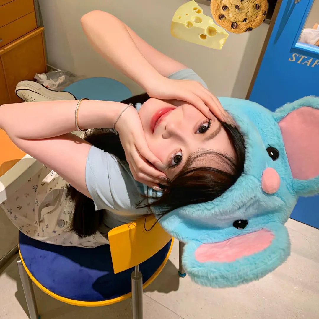 绽放的玫瑰