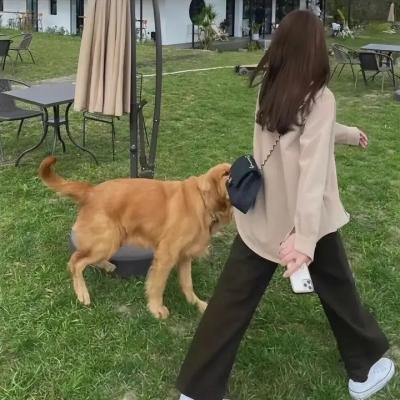 长子之塔